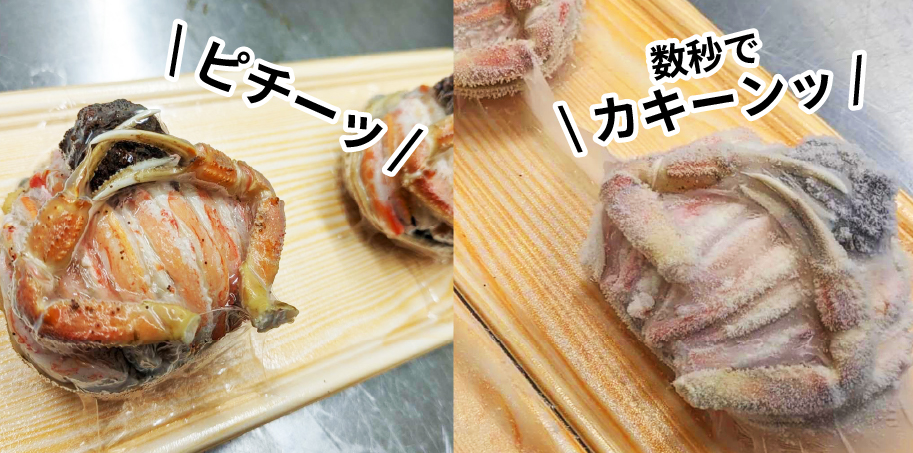 セコガニは一度食べたら忘れられない美味さ！お取り寄せなら専門店の通販で！