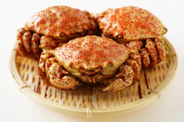 2025年版！御歳暮に贈るセコガニのおすすめ！選び方から通販情報まで